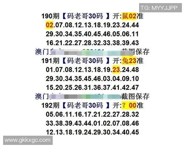 新澳门精准四肖期期中特公开揭秘如何提升你的博彩胜率与技巧