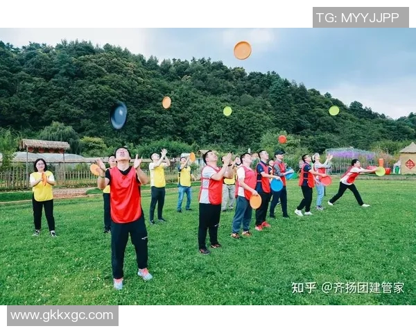 飞盘热潮来袭：深入武汉飞盘队的团队精神与竞技魅力探讨